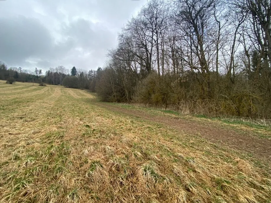 Dražba louky 7826 m²